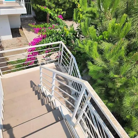 Villa Feronia A11 *
