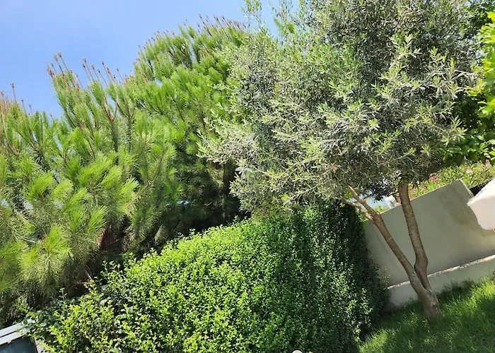 Feronia A11 Villa Belek