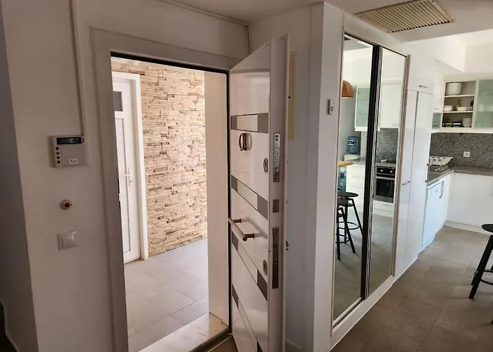 Feronia A11 * 贝莱克